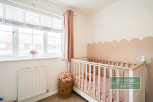 Photo 24- click for photo gallery